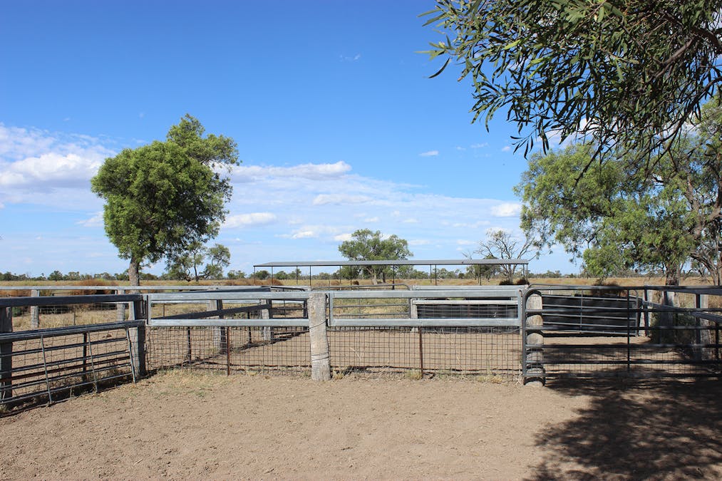 1892 Kensington Road, Coonamble, NSW, 2829 - Image 34