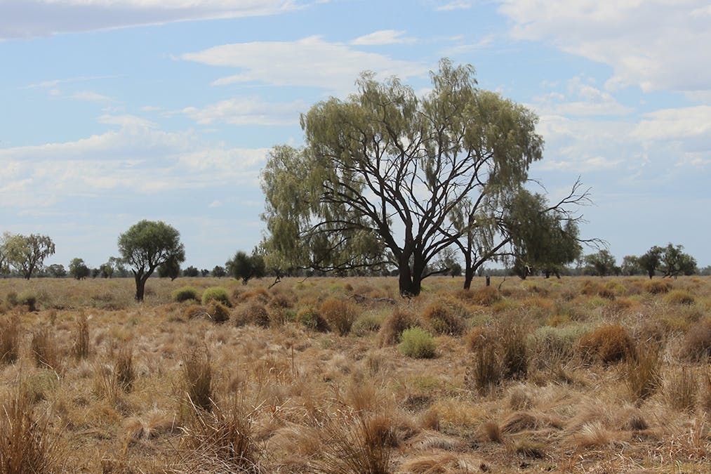 1892 Kensington Road, Coonamble, NSW, 2829 - Image 5