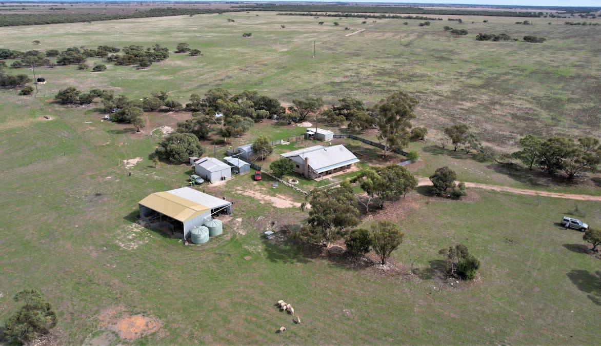 4054 Mallee Highway, Peake, SA, 5301 - Image 2