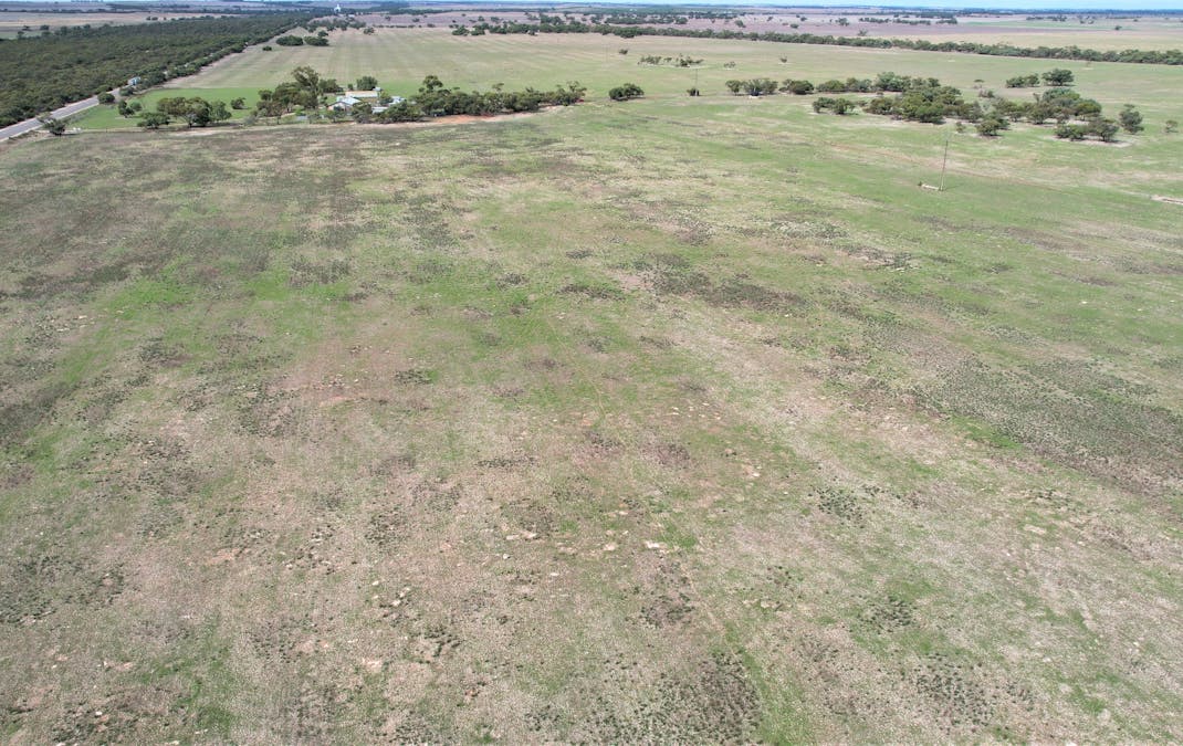 4054 Mallee Highway, Peake, SA, 5301 - Image 22
