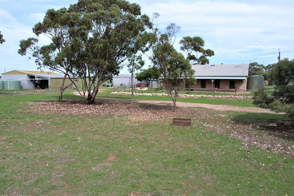 4054 Mallee Highway, Peake, SA, 5301 - Image 21