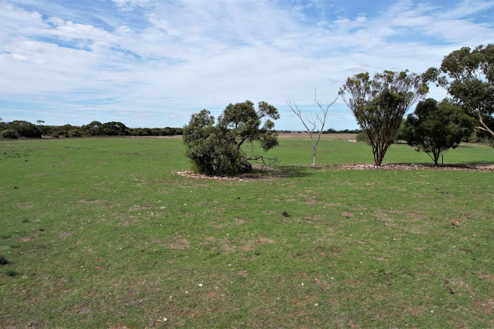 4054 Mallee Highway, Peake, SA, 5301 - Image 28