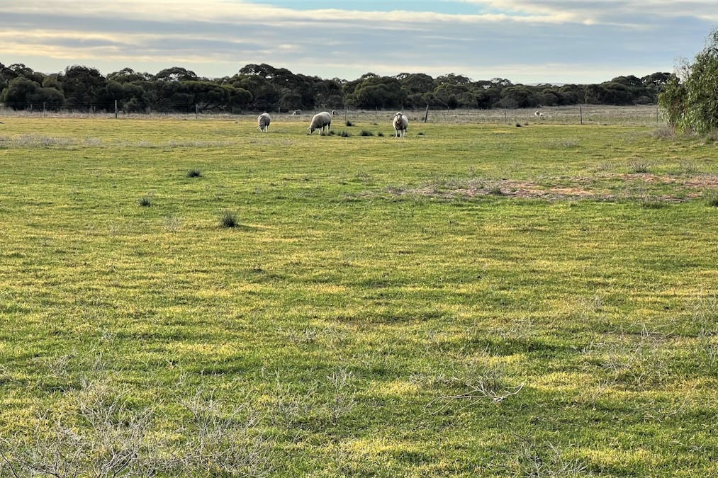 4054 Mallee Highway, Peake, SA, 5301 - Image 23
