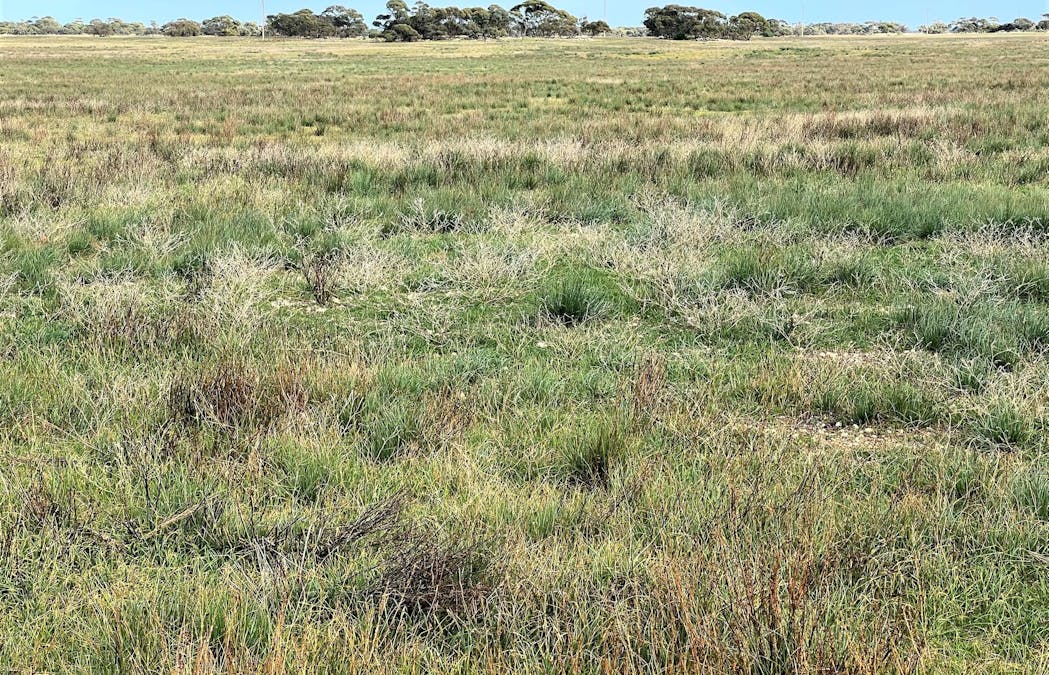4054 Mallee Highway, Peake, SA, 5301 - Image 24