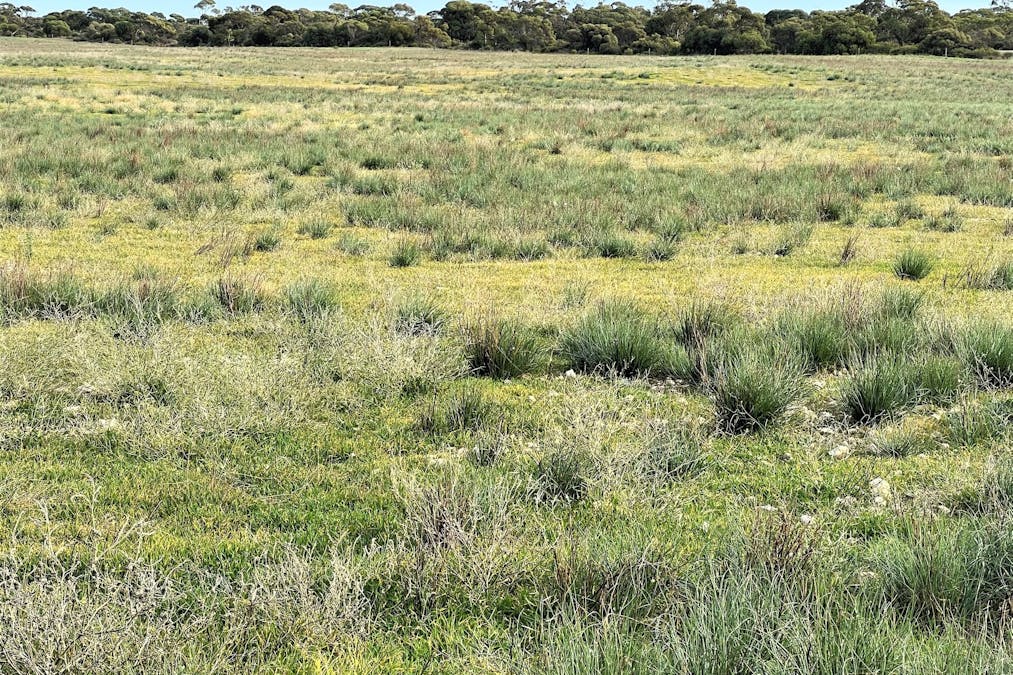 4054 Mallee Highway, Peake, SA, 5301 - Image 25