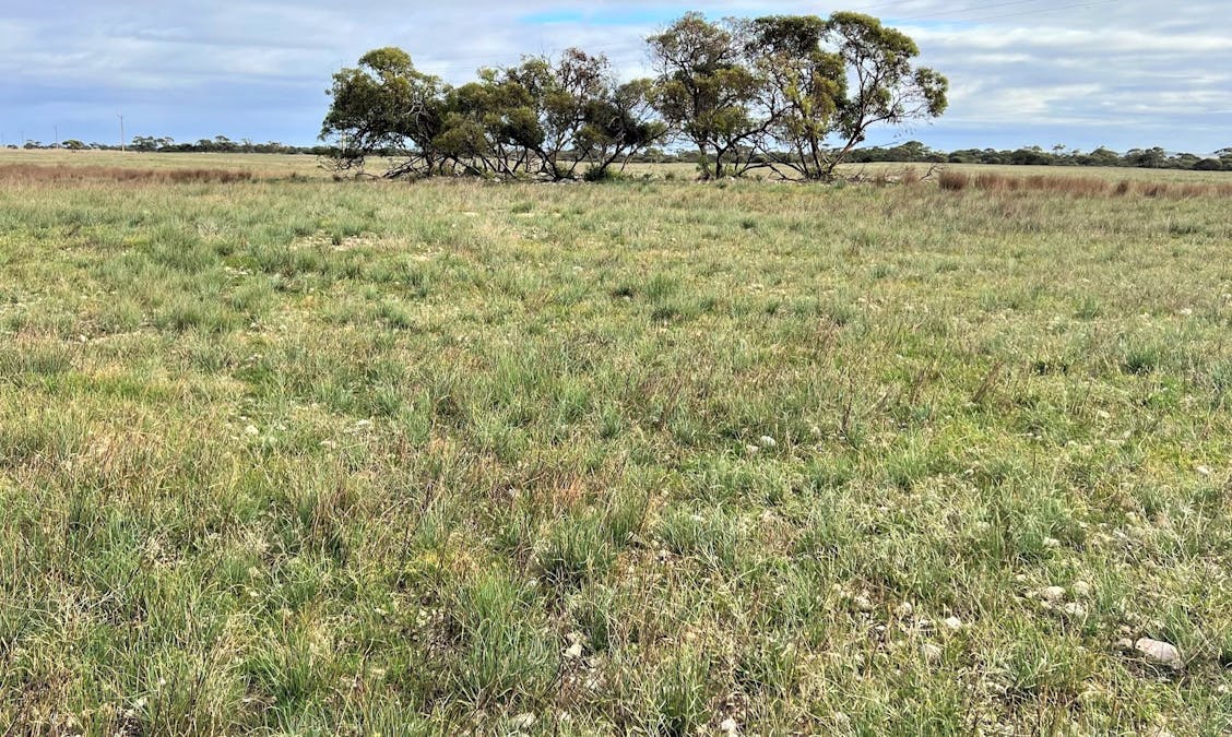 4054 Mallee Highway, Peake, SA, 5301 - Image 26