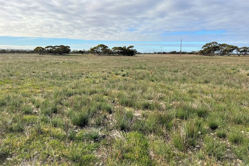 4054 Mallee Highway, Peake, SA, 5301 - Image 27