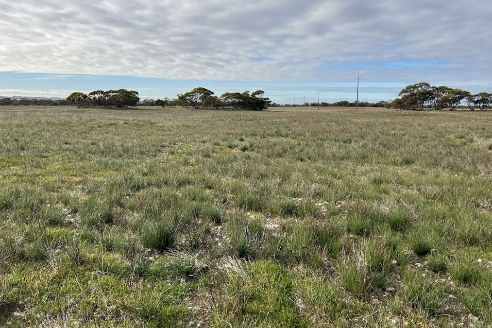 4054 Mallee Highway, Peake, SA, 5301 - Image 31