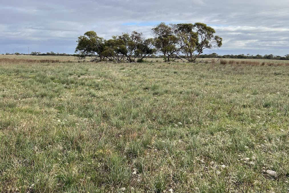 4054 Mallee Highway, Peake, SA, 5301 - Image 32