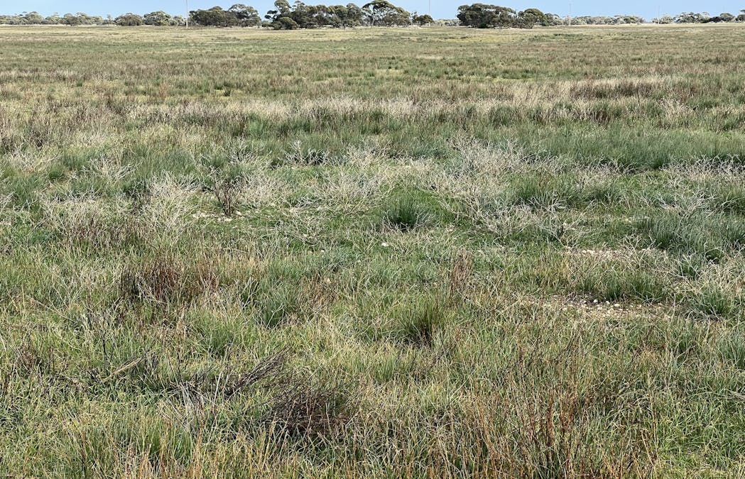 4054 Mallee Highway, Peake, SA, 5301 - Image 29