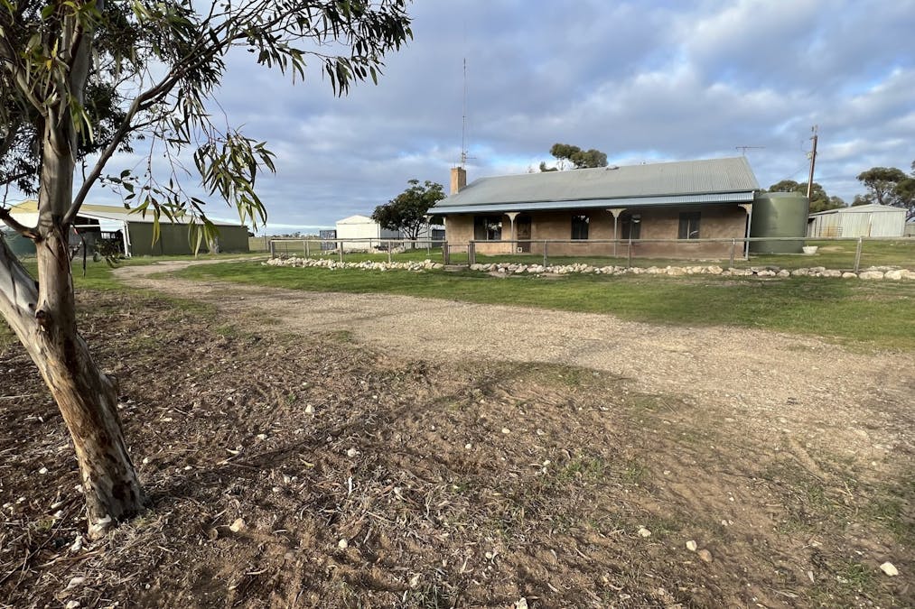 4054 Mallee Highway, Peake, SA, 5301 - Image 1