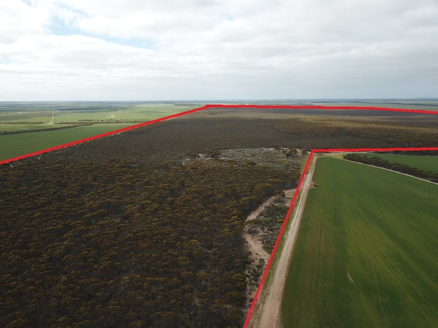 101 Mallee Road, West River, WA, 6346 - Image 1