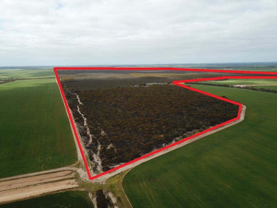 101 Mallee Road, West River, WA, 6346 - Image 2