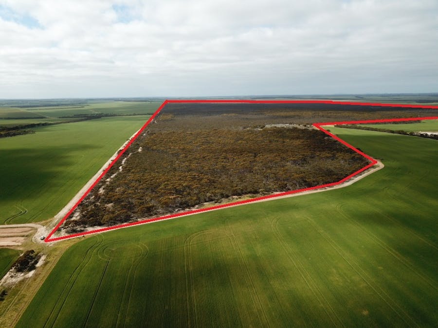 101 Mallee Road, West River, WA, 6346 - Image 3
