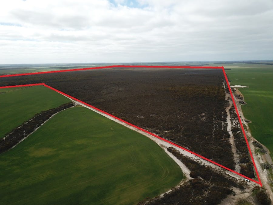 101 Mallee Road, West River, WA, 6346 - Image 4