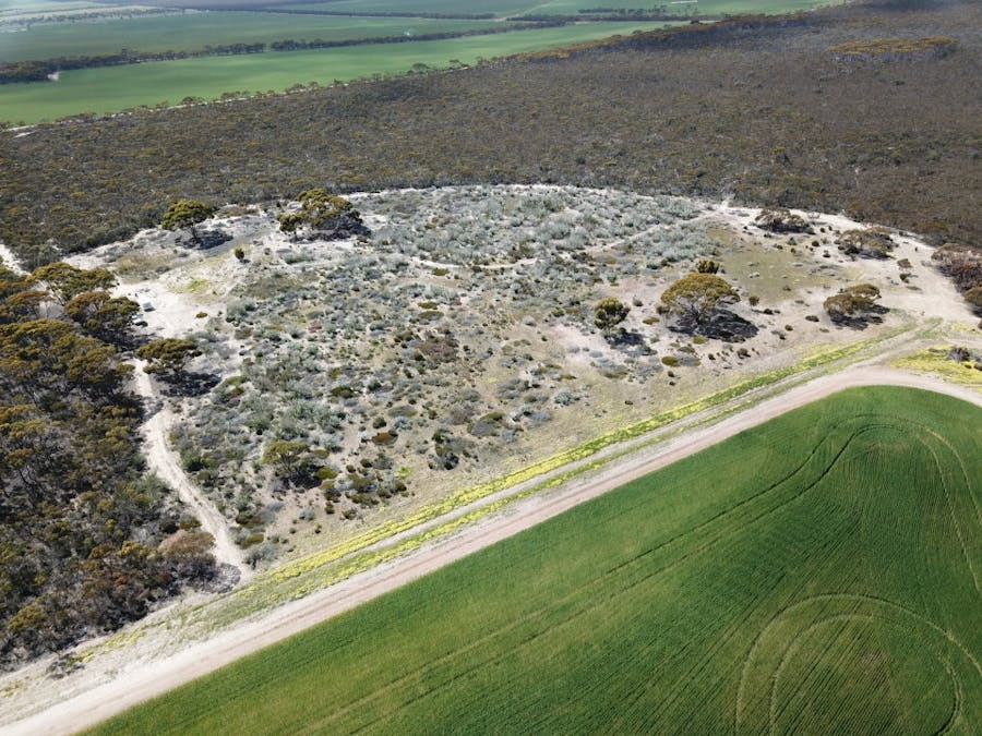 101 Mallee Road, West River, WA, 6346 - Image 6