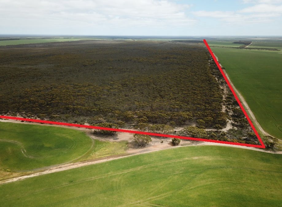101 Mallee Road, West River, WA, 6346 - Image 9