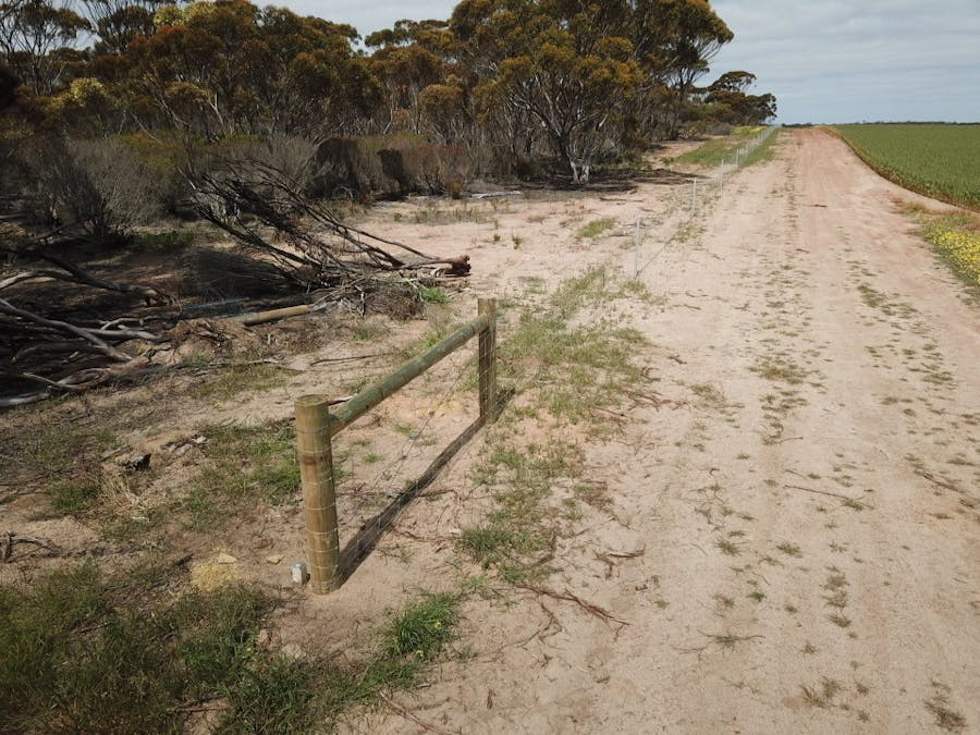 101 Mallee Road, West River, WA, 6346 - Image 10