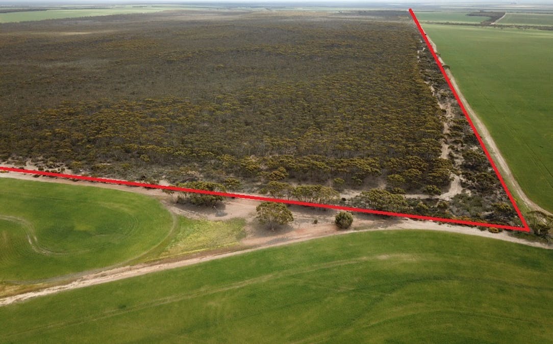 101 Mallee Road, West River, WA, 6346 - Image 11