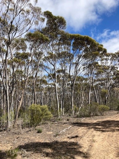 101 Mallee Road, West River, WA, 6346 - Image 21