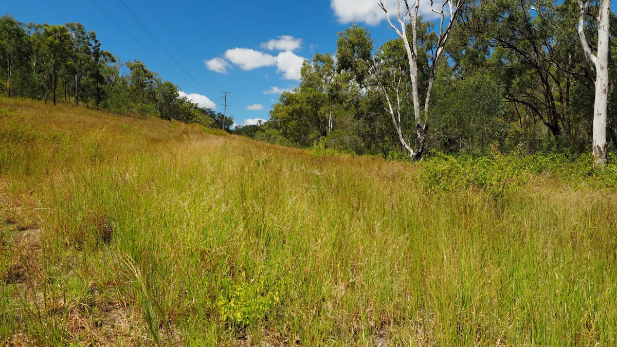 30 Hempseed Road, Walmul, QLD, 4714 - Image 2