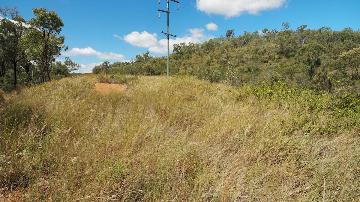 30 Hempseed Road, Walmul, QLD, 4714 - Image 4