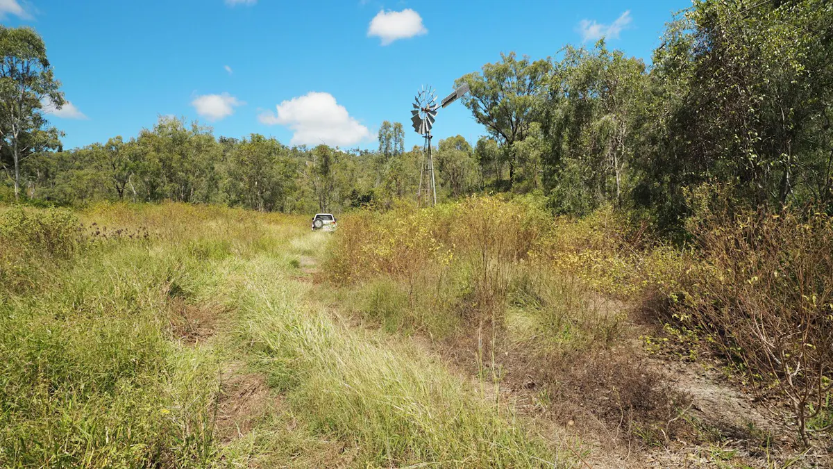 30 Hempseed Road, Walmul, QLD, 4714 - Image 8