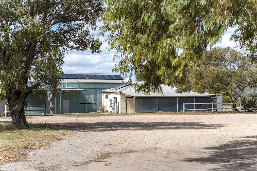 105 Padbury Road, Bookara, WA, 6525 - Image 19