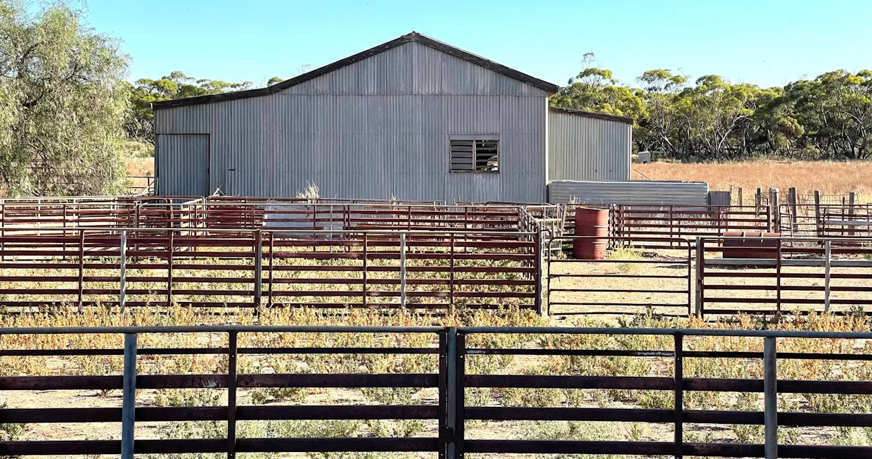 379 Bennie Road, Wirrulla, SA, 5661 - Image 12
