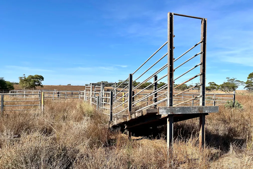 379 Bennie Road, Wirrulla, SA, 5661 - Image 15