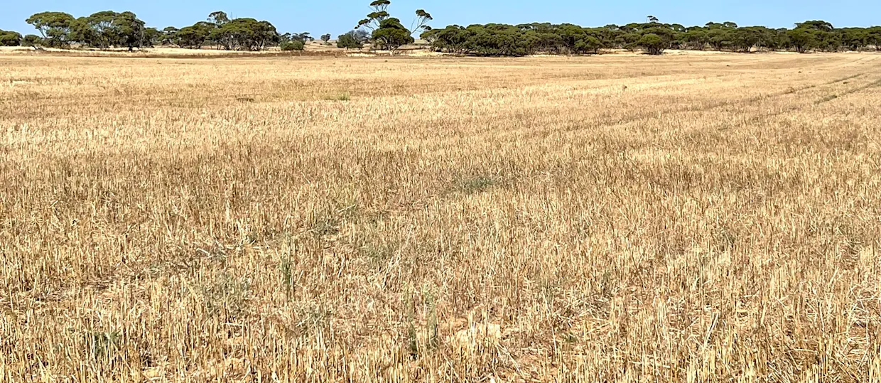379 Bennie Road, Wirrulla, SA, 5661 - Image 28