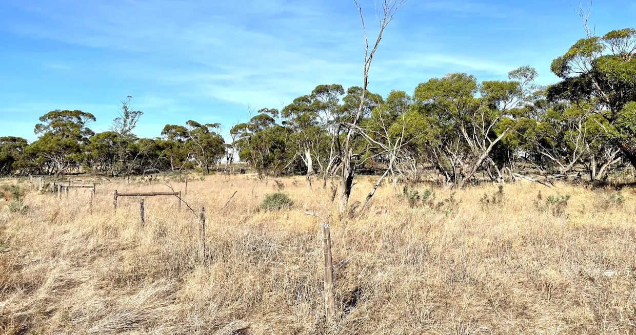 379 Bennie Road, Wirrulla, SA, 5661 - Image 16