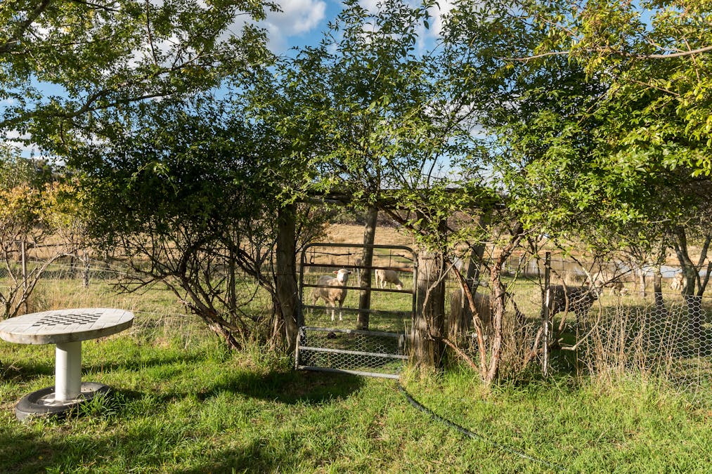332 Sylvia Vale Road, Crookwell, NSW, 2583 - Image 10
