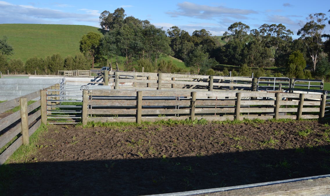 281 Loch-Poowong Road, Loch, VIC, 3945 - Image 6