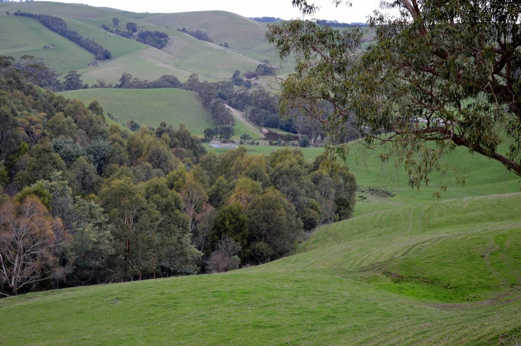 281 Loch-Poowong Road, Loch, VIC, 3945 - Image 9