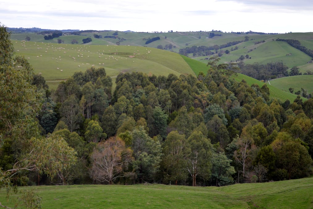 281 Loch-Poowong Road, Loch, VIC, 3945 - Image 11