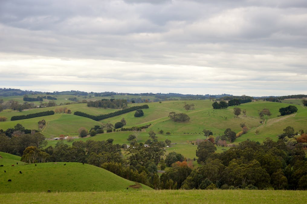 281 Loch-Poowong Road, Loch, VIC, 3945 - Image 13