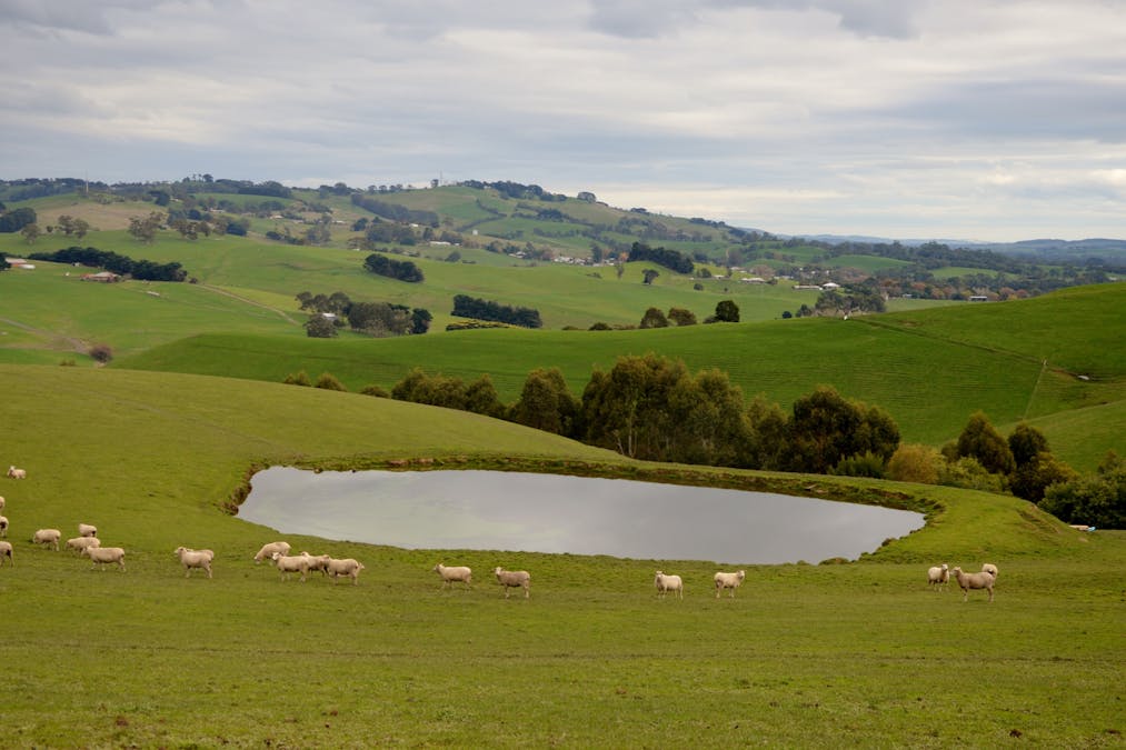281 Loch-Poowong Road, Loch, VIC, 3945 - Image 8