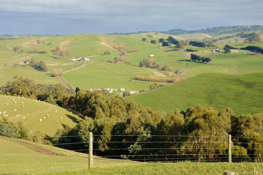281 Loch-Poowong Road, Loch, VIC, 3945 - Image 15