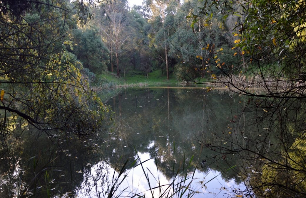 281 Loch-Poowong Road, Loch, VIC, 3945 - Image 16