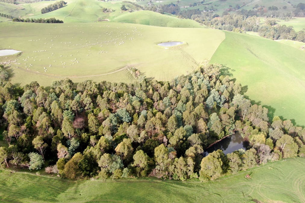 281 Loch-Poowong Road, Loch, VIC, 3945 - Image 19