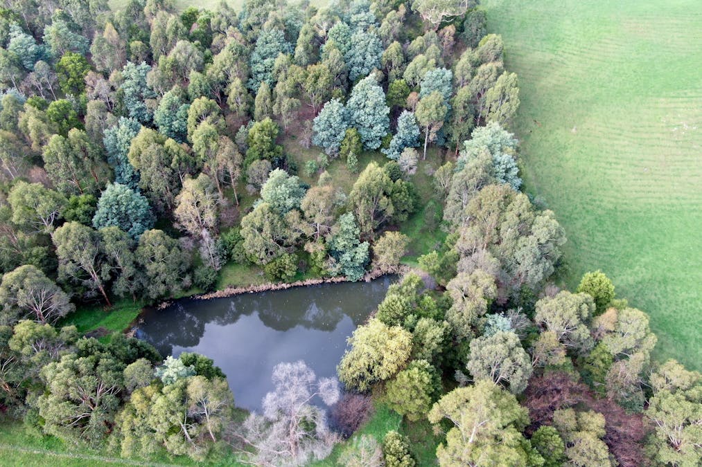 281 Loch-Poowong Road, Loch, VIC, 3945 - Image 21