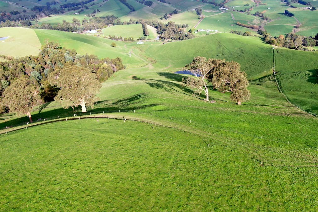 281 Loch-Poowong Road, Loch, VIC, 3945 - Image 4