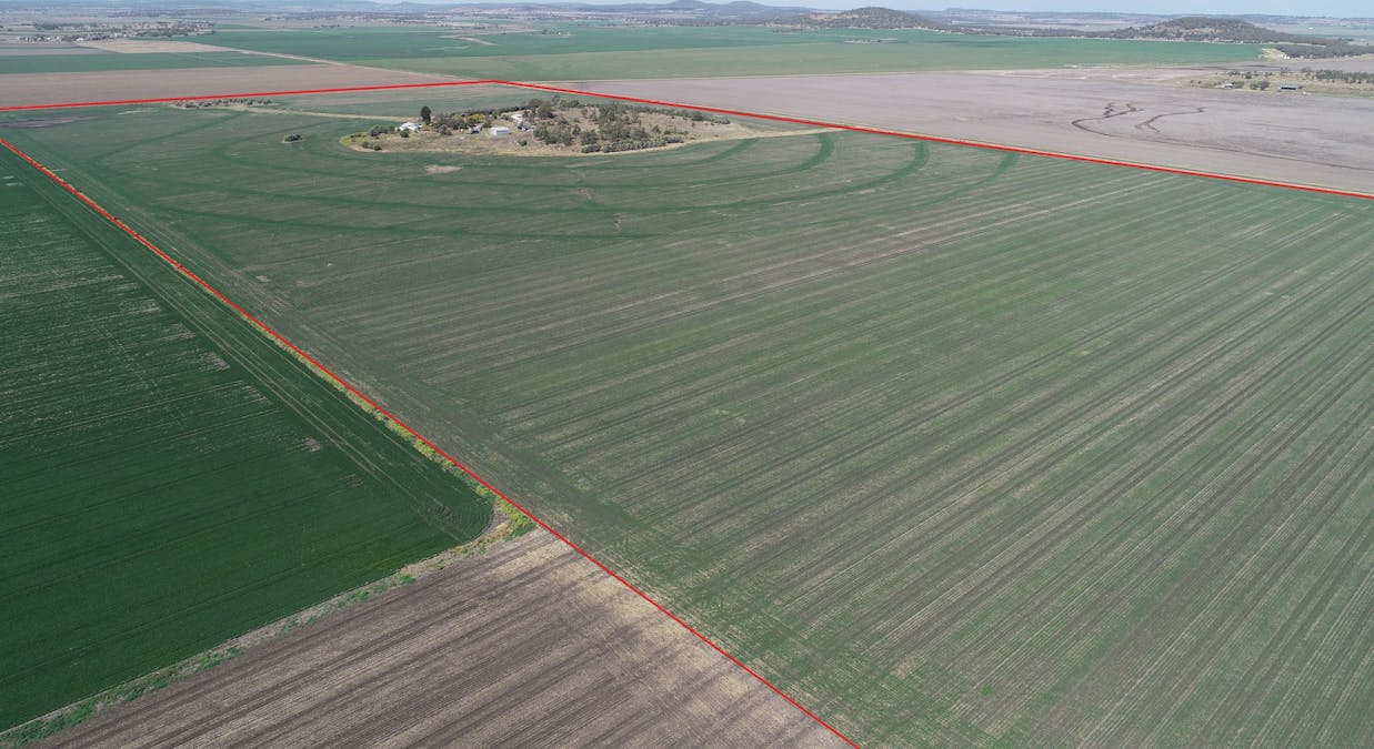 4270 Toowoomba Cecil Plains Road, Evanslea, QLD, 4356 - Image 1