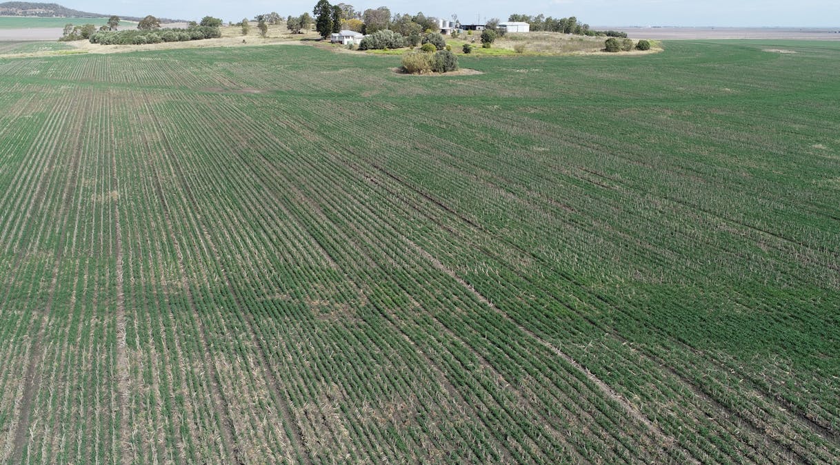 4270 Toowoomba Cecil Plains Road, Evanslea, QLD, 4356 - Image 2