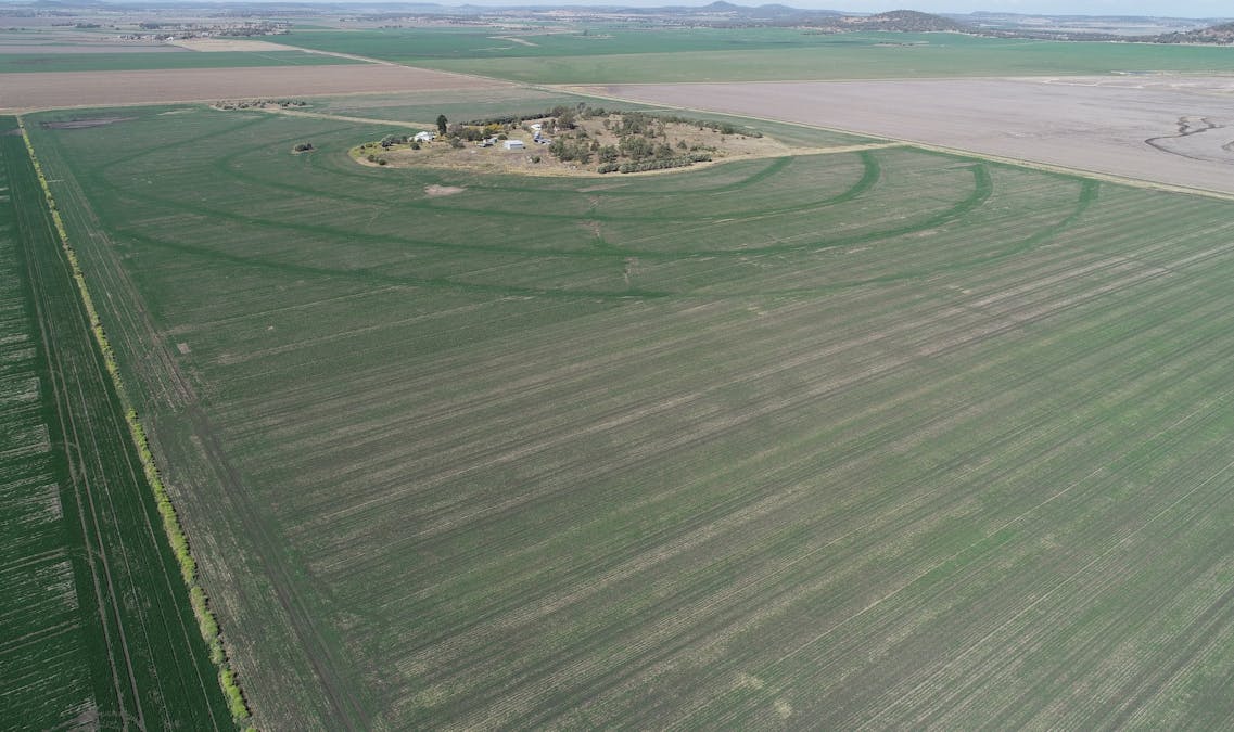 4270 Toowoomba Cecil Plains Road, Evanslea, QLD, 4356 - Image 3