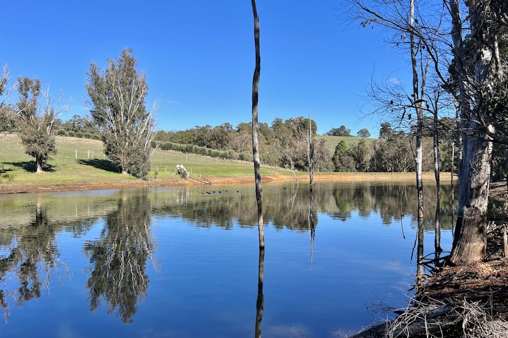 134 Towers Road, Thomson Brook, WA, 6239 - Image 22