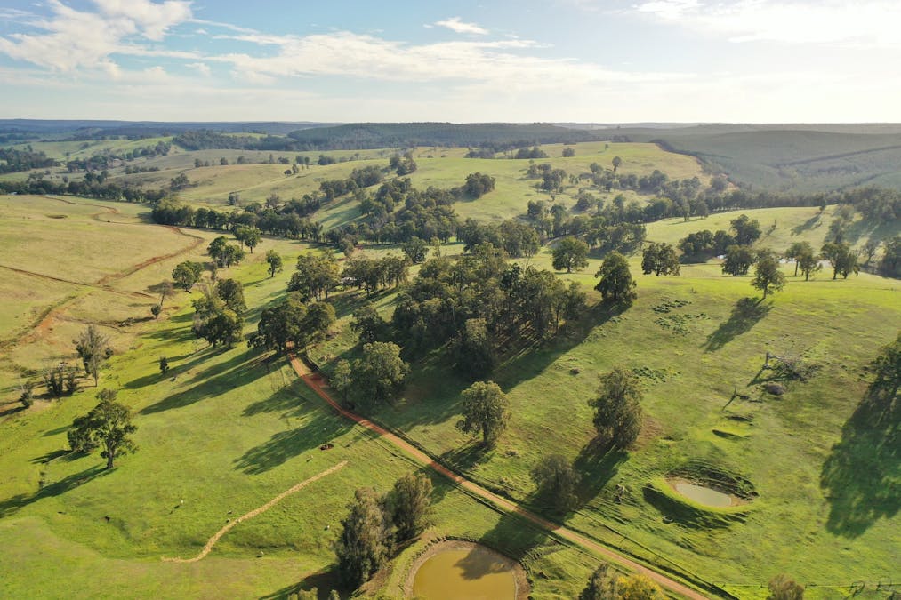 134 Towers Road, Thomson Brook, WA, 6239 - Image 30
