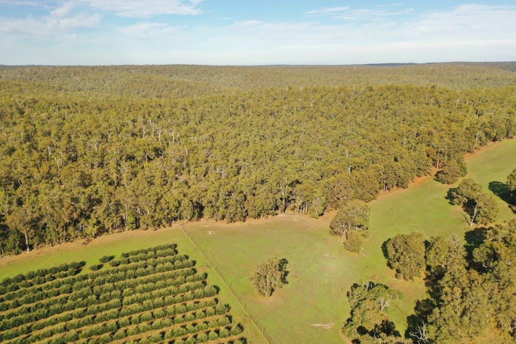 134 Towers Road, Thomson Brook, WA, 6239 - Image 29
