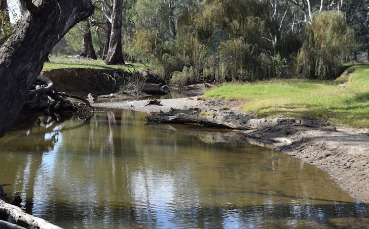 Riverina Highway, Bungowannah, NSW, 2640 - Image 1